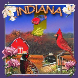 CoasterStone SQ029 Absorbent Coasters, 4 1/4 Inch, "Indiana", Set of 4: Kitchen & Dining