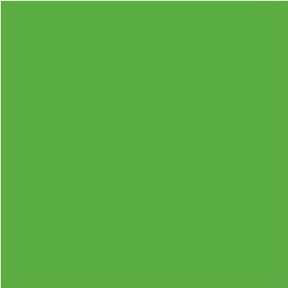 12" x 20 ft Roll of Matte 631 Lime Tree Green Repositionable Adhesive Backed Vinyl for Craft Cutters, Punches and Vinyl Sign Cutters ? Vinyl Ease V1534