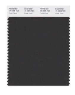 PANTONE SMART 19 4305X Color Swatch Card, Pirate Black   House Paint  