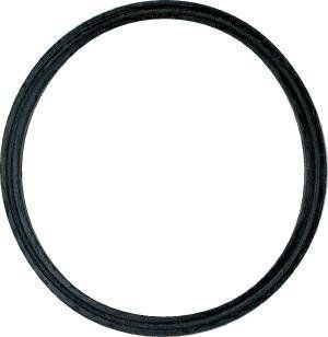 Stant 27286 Thermostat Seal: Automotive