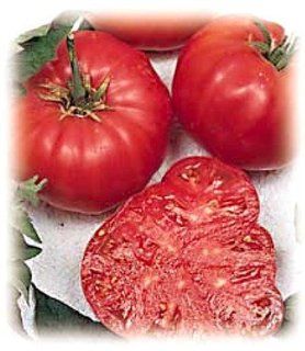 Watermelon Beefsteak Tomato 25 Seeds   Impressive! Garden, Lawn, Supply, Maintenance : Lawn And Garden Spreaders : Patio, Lawn & Garden