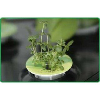 Miracle Gro AeroGarden ULTRA Indoor Garden with Gourmet Herb Seed Pod Kit Plus Bonus Seed Starter System : Patio, Lawn & Garden