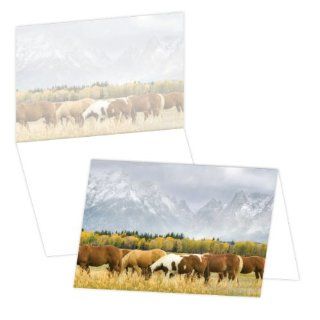 ECOeverywhere Mountain Storm Boxed Card Set, 12 Cards and Envelopes, 4 x 6 Inches, Multicolored (bc11788) : Blank Postcards : Office Products
