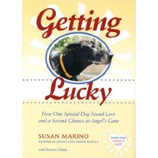 Getting Lucky: How One Special Dog Found Love and a Second Chance at Angel's Gate: Susan Marino, Denise Flaim: 9781584794103: Books