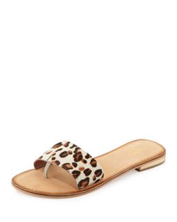 City Slicker Leopard Print Calf Hair Sandal   Seychelles   Tan (10B)