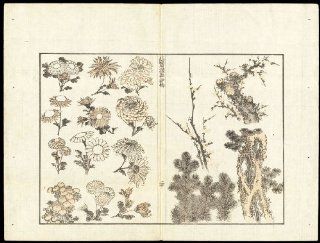 Antique Japanese Prints EHON MANGA FLOWER TREE BOTANY SKETCHES Hokusai 1814   Woodcuts Prints