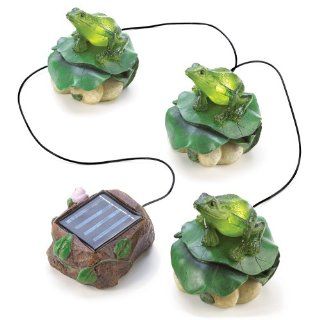 Gifts & Decor Solar Frog Trio Garden Path Lighting (Discontinued by Manufacturer) : Patio Decor Solar : Patio, Lawn & Garden