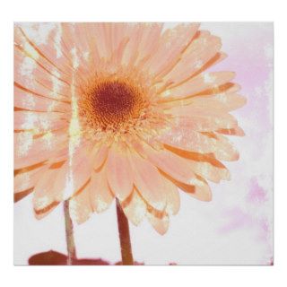 Vintage Pink Gerbera Daisy Print