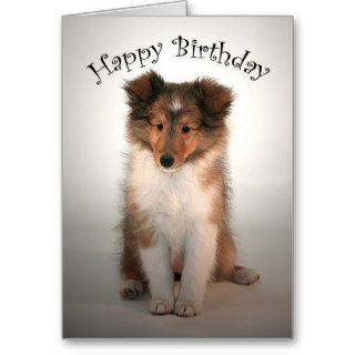 Sheltie Puppy Birthday Card