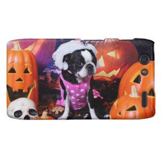 Halloween   Boston Terrier   Georgia Droid RAZR Case