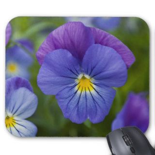 Purple Pansy Mousepad