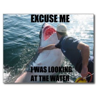 Excuse Me Shark! Postcard
