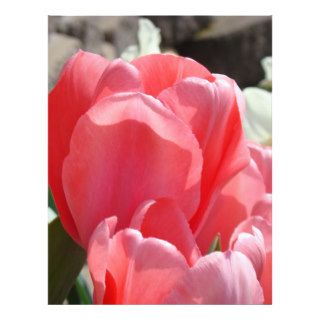 Scrapbook Paper Pink Tulip Flowers Spring Floral Letterhead Template