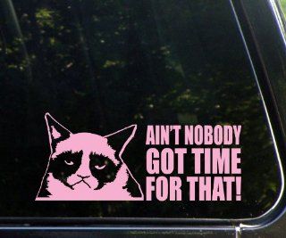 Grumpy Cat   Ain't Nobody Got Time For That   Funny   PINK Die Cut (NOT PRINTED) Decal 