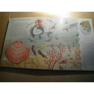 The Mermaid's Treasure: Stephanie True Peters: 9780525479611: Books