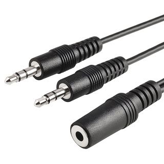 Eforcity 3.5mm Stereo 2 Plug to Jack M/F 6 inch Cable Eforcity A/V Cables