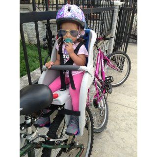 Schwinn Deluxe Child Carrier : Bike Child Seats : Sports & Outdoors