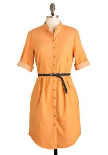 BB Dakota Orange You Cute Dress  Mod Retro Vintage Dresses