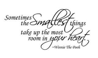 WallStickerUSA Medium "Sometimes smallest things take Up the most room in your heart." Winnie The Pooh Quote Saying Wall Sticker Decal Transfer Film 17x25 : Nursery Wall Decor : Baby