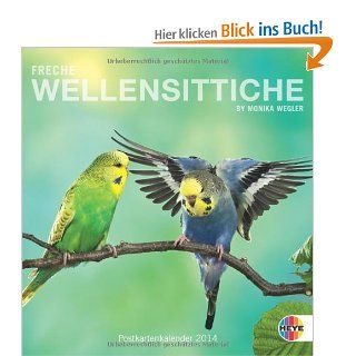 Freche Wellensittiche 2014. Postkartenkalender: Heye, Monika Wegler: Bücher
