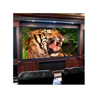 Clarion Projection Screen