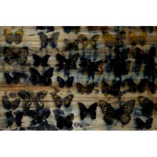 Dark Monarch Society Wall Art on Natural Pine Wood by ParvezTaj