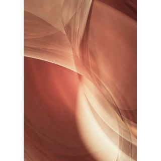 Musings Copper by Scott J. Menaul Graphic Art on Wrapped Canvas by