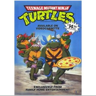 Teenage Mutant Ninja Turtles Movie Poster (11 x 17)