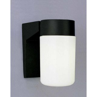 Thomas Lighting Plastic Outdoor Globe 1 Light Wall Sconce