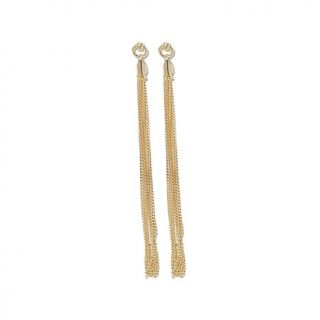 Technibond® Curb Link Chain Tassel Drop Earrings   8010234