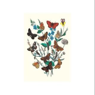 Butterflies: M. Cynthia, M. Athalia, Et Al. Print (Unframed Paper Poster Giclee 20x29)