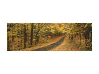 Autumn Road, Emery Park, New York State, USA Poster Print by Panoramic Images (36 x 12)