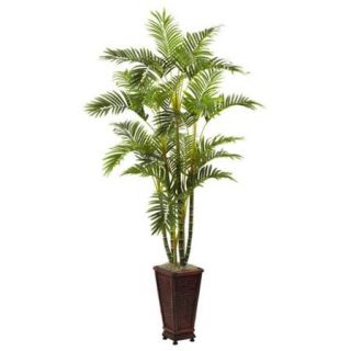 6.5 Foot Areca w/Decorative Planter