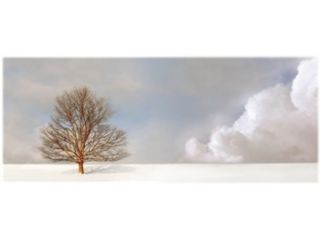 Alone in the Whiteness Poster Print by Carlos Casamayor (40 x 16)