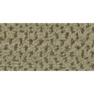 Home and Office Tempting Taupe Berber Indoor Carpet