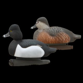 GHG Life Size Series Ring Necked Duck Decoys 6 Pack 402228