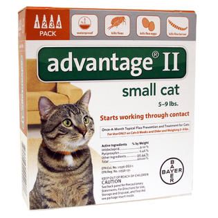 Advantage II for Cats 5 9 lbs 4 Month Supply   Pet Supplies   Cat