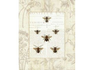 Bee Botanical Poster Print by Sue Schlabach (16 x 20)