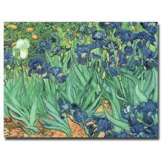 Trademark Fine Art 18 in. x 24 in. Irises, 1889 Canvas Art BL0317 C1824GG