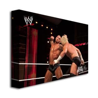 WWE   Officially Licensed WWE Randy Orton Canvas Art