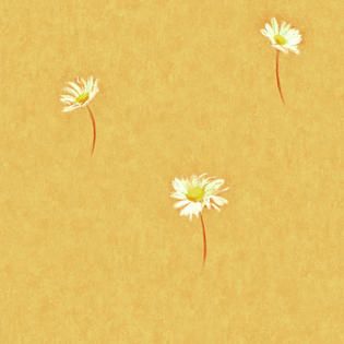 Brewster Selby Orange Single Daisy Toss Wallpaper   Tools   Painting
