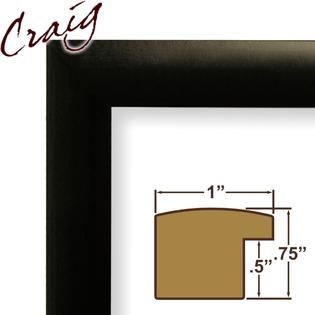 Craig Frames Inc  18x24 Contemporary Black Poster Frame (1WB3BK)