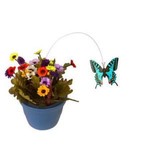 Potted Flutt Butterfly