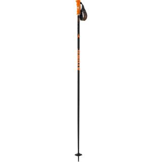 Atomic Park Ski Pole   Ski Poles