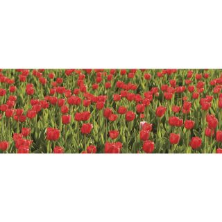 Ideal Decor Red Tulips Wall Mural   15642605  