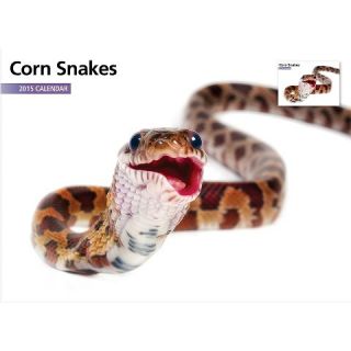 Magnet™ & Steel Corn Snake 2015 Wall Calendar