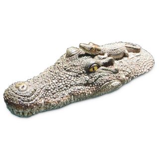 Crocodile Head Float   15439045 The Best