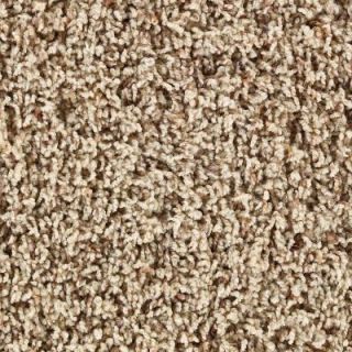 Martha Stewart Living La Paz Brown Alpaca Tonal   6 in. x 9 in. Take Home Carpet Sample 875204