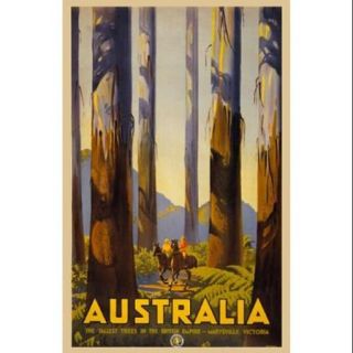 Australia   Tallest Trees Poster Print (11 x 17)