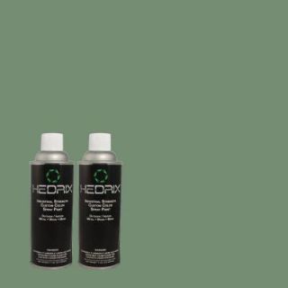 Hedrix 11 oz. Match of 2A56 5 Terrestrial Flat Custom Spray Paint (2 Pack) F02 2A56 5